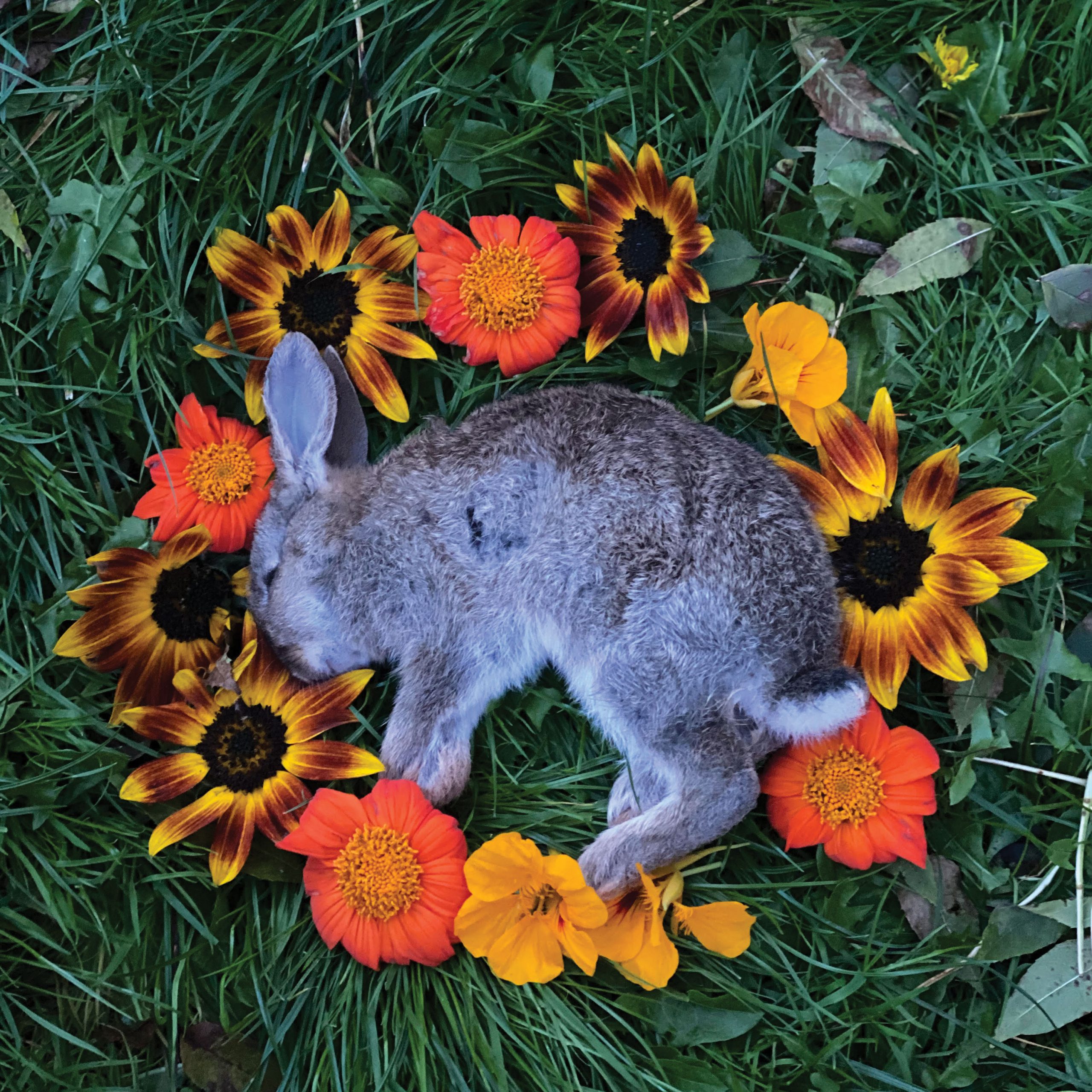 Monolord – Your Time To Shine