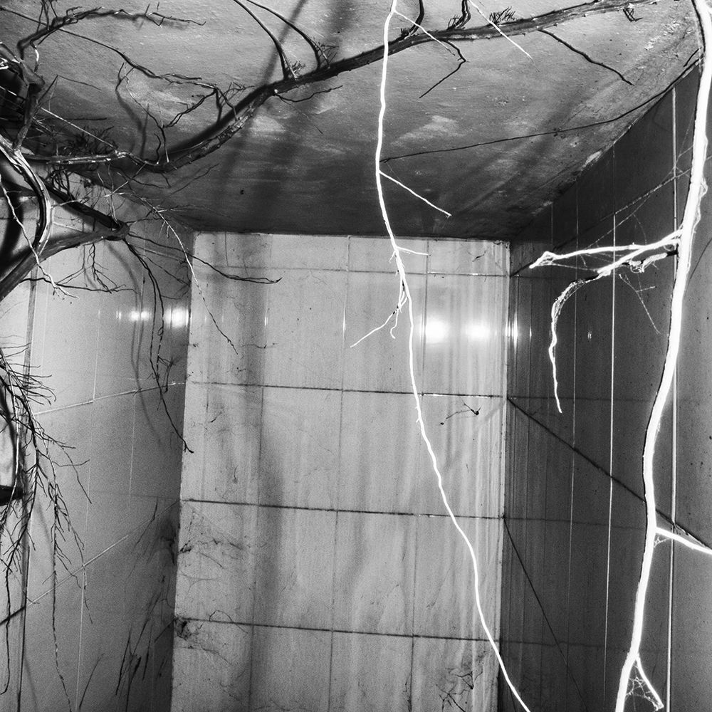 Larsen – A Chronicle (a soundtrack to Jacopo Benassi’s Meiwo)