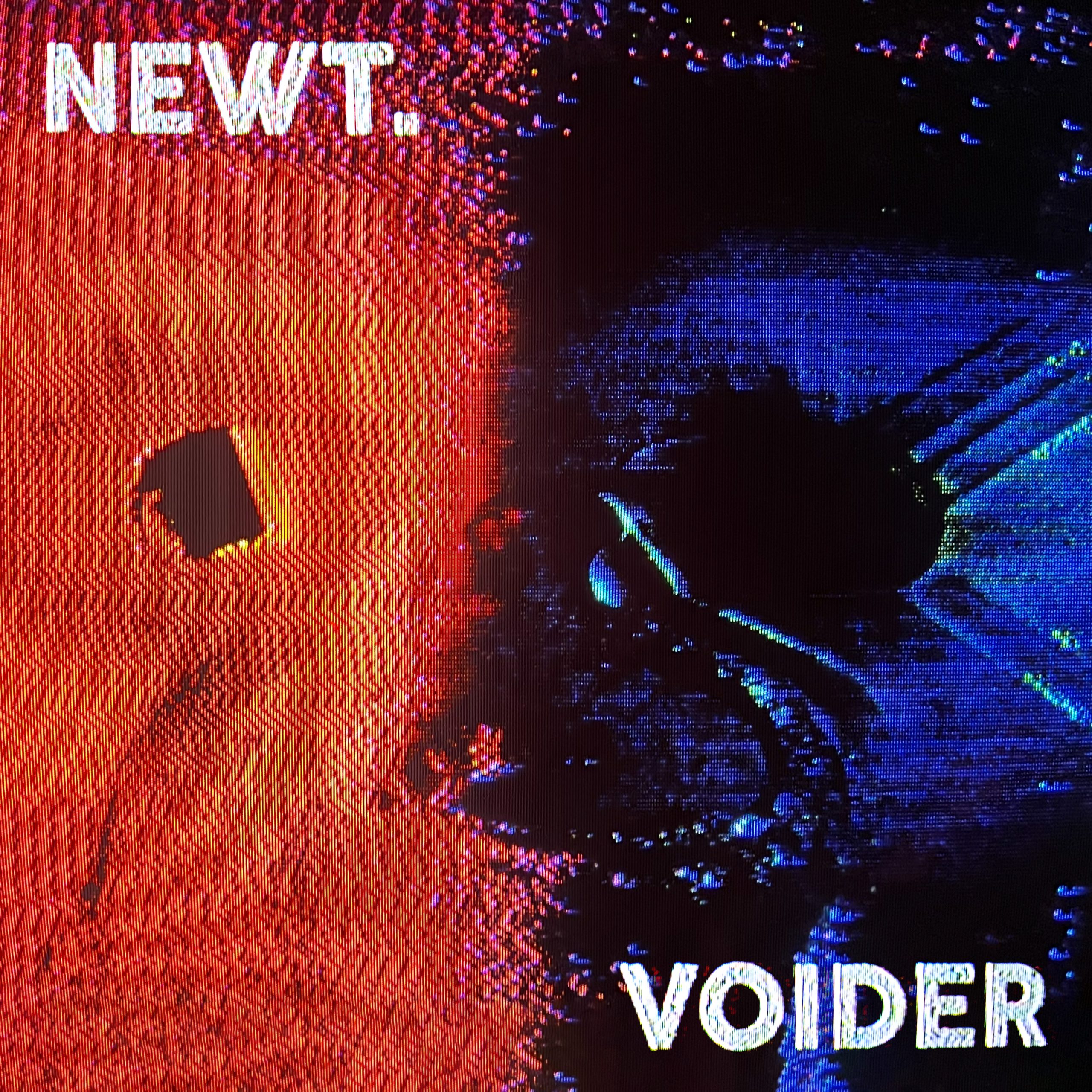 Newt. – Voider