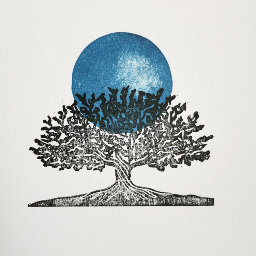 Shajara Ensemble – Shajara