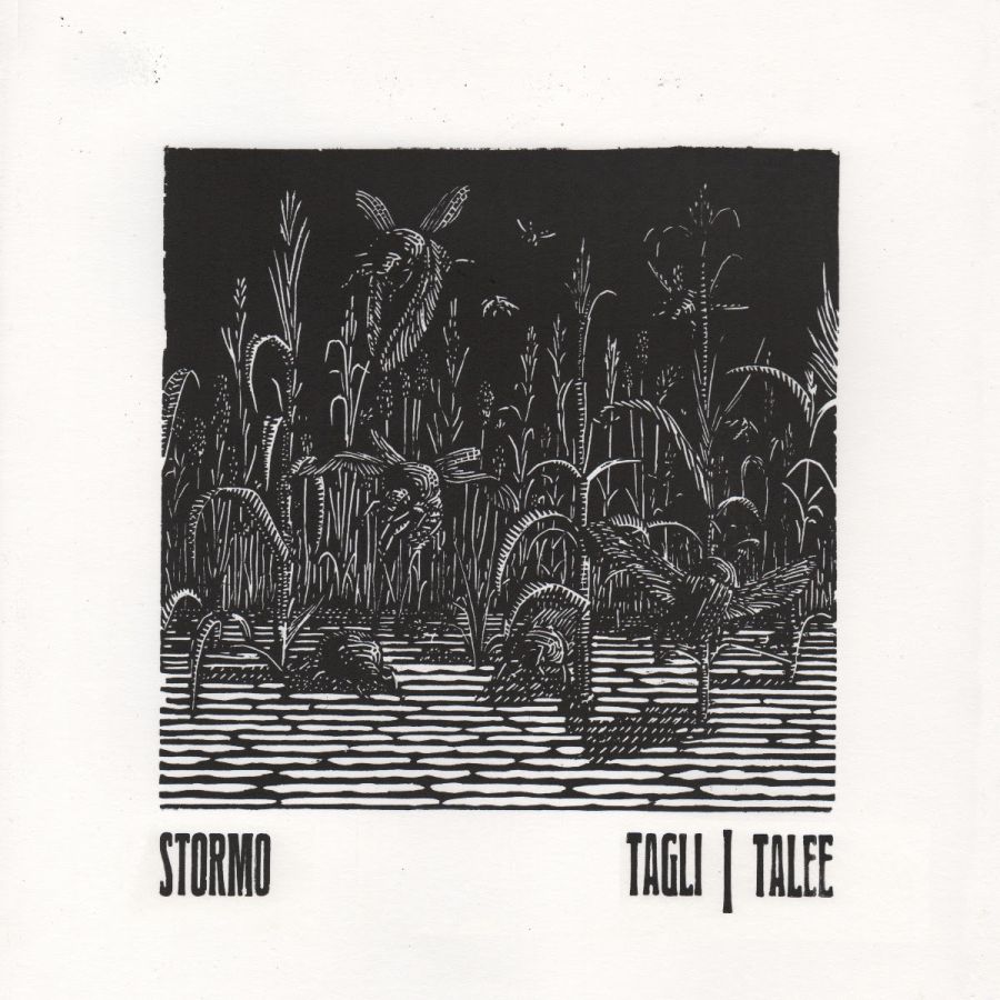 Stormo – Tagli/Talee